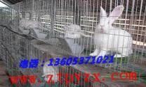 氣囊供應商/生產供應【船舶上排、下水用氣囊】價格-臨朐潤達水囊廠